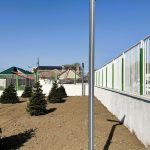 Scoala spiru haret Medgidia 39
