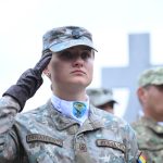 Ziua Armistitiului 11