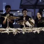 International Programme in Scenography_1
