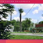 Parcul 1 Mai Medgidia 41