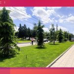 Parcul 1 Mai Medgidia 46