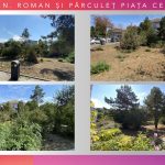Parcul 1 Mai Medgidia 48