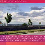 Parcul 1 Mai Medgidia 56