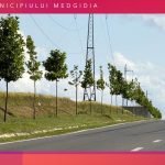 Parcul 1 Mai Medgidia 57