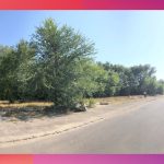 Parcul 1 Mai Medgidia12