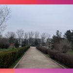 Parcul 1 Mai Medgidia18