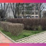 Parcul 1 Mai Medgidia21
