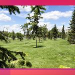 Parcul 1 Mai Medgidia24
