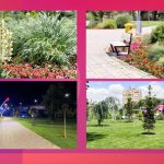 Parcul 1 Mai Medgidia27