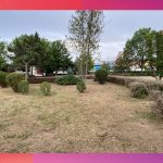 Parcul 1 Mai Medgidia29