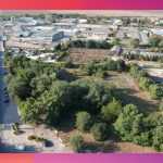 Parcul 1 Mai Medgidia9